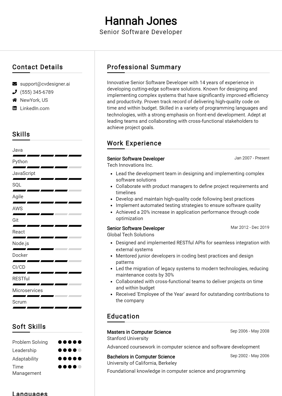 Senior Software Developer Resume Example