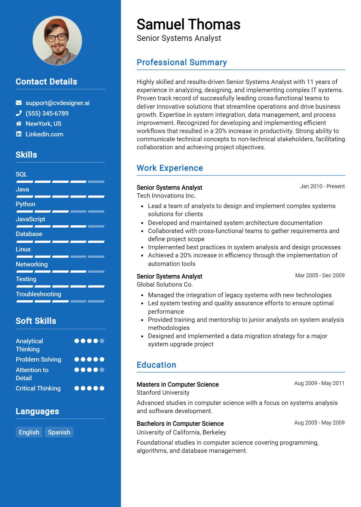 Senior Systems Analyst Resume Example