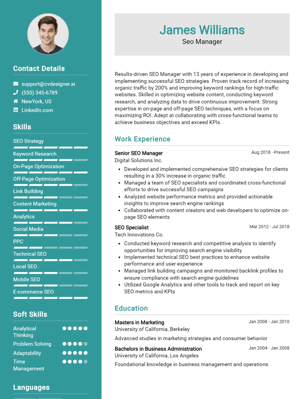 Seo Manager CV Example