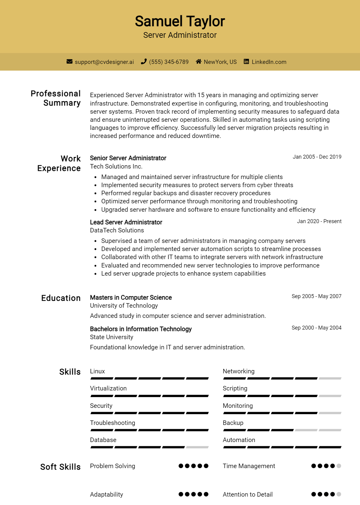 Server Administrator Resume Example