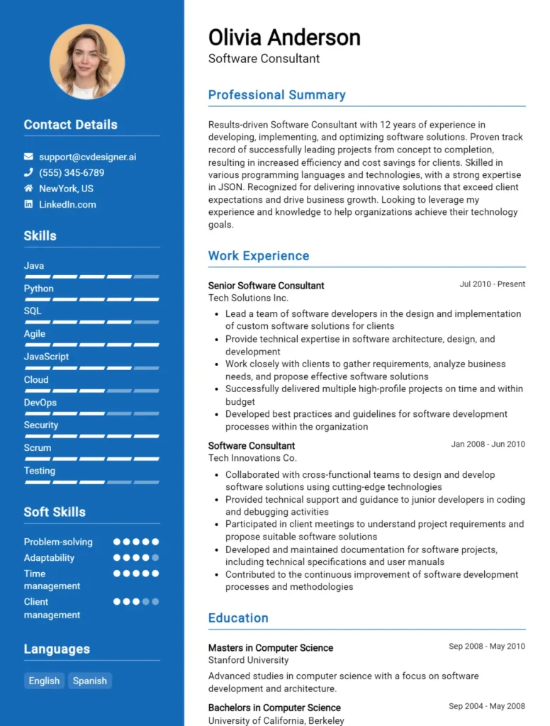 Software Consultant CV Example