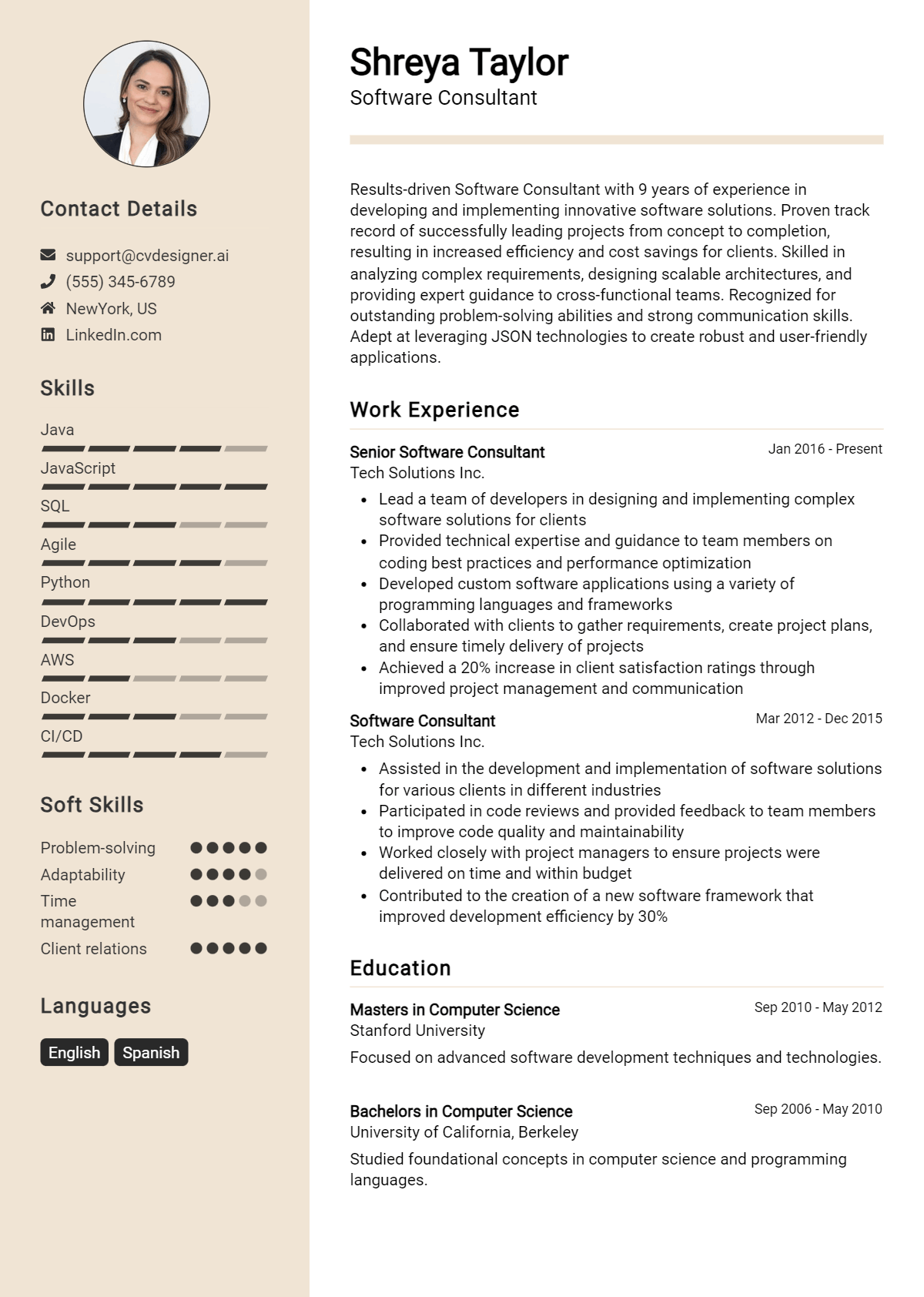 Software Consultant Resume Example