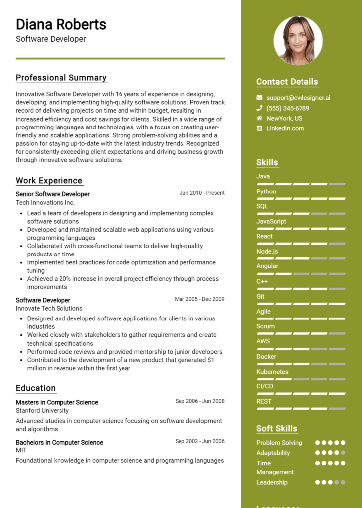 Software Developer Resume Example