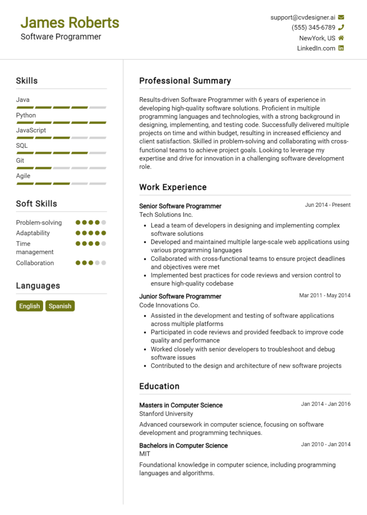 Software Programmer Resume Example