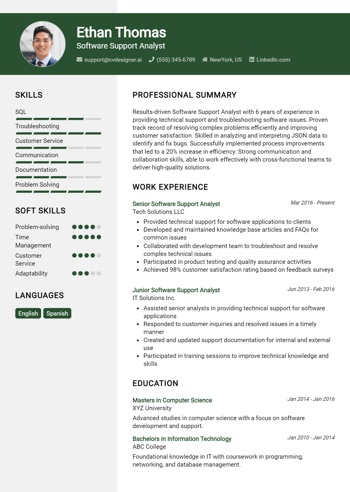 Software Support Analyst Resume Example