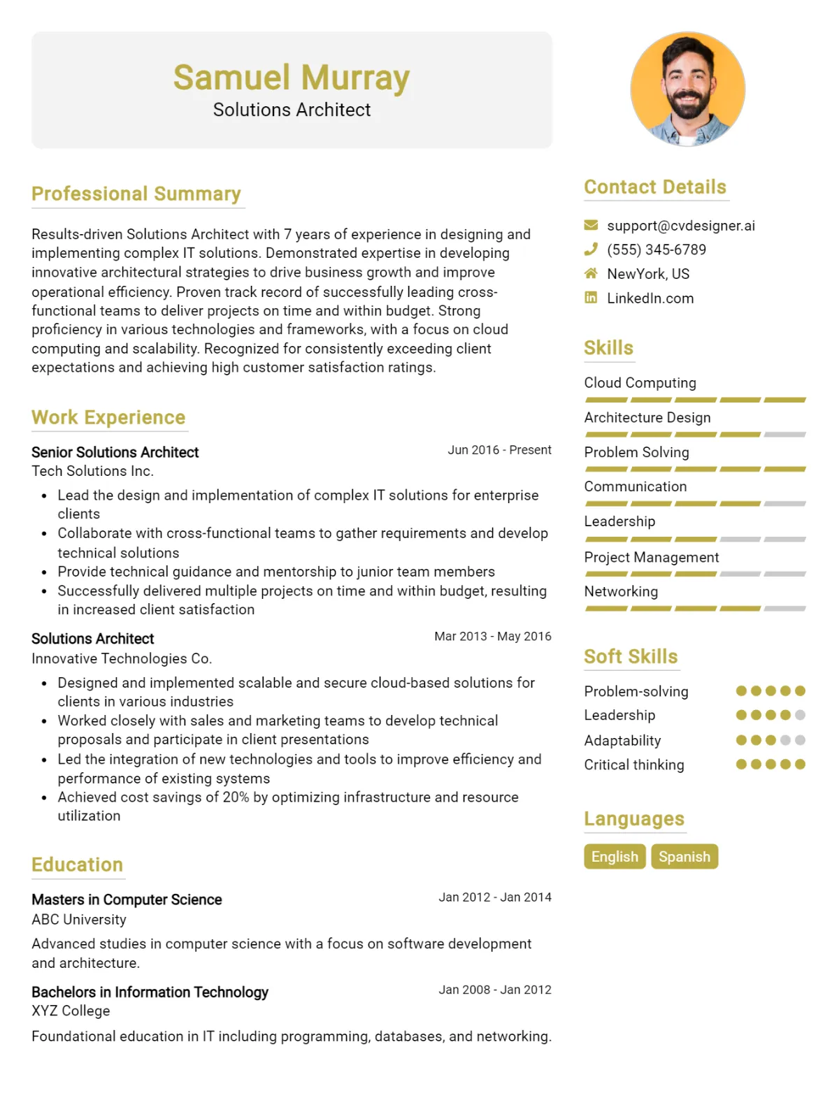 Solutions Architect CV Example