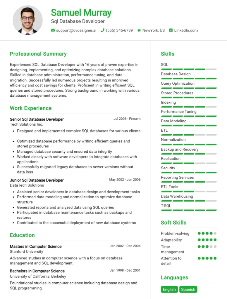 Sql Database Developer CV Example