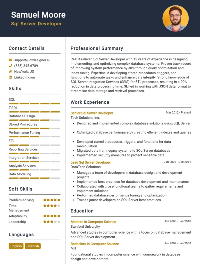 Sql Server Developer CV Example