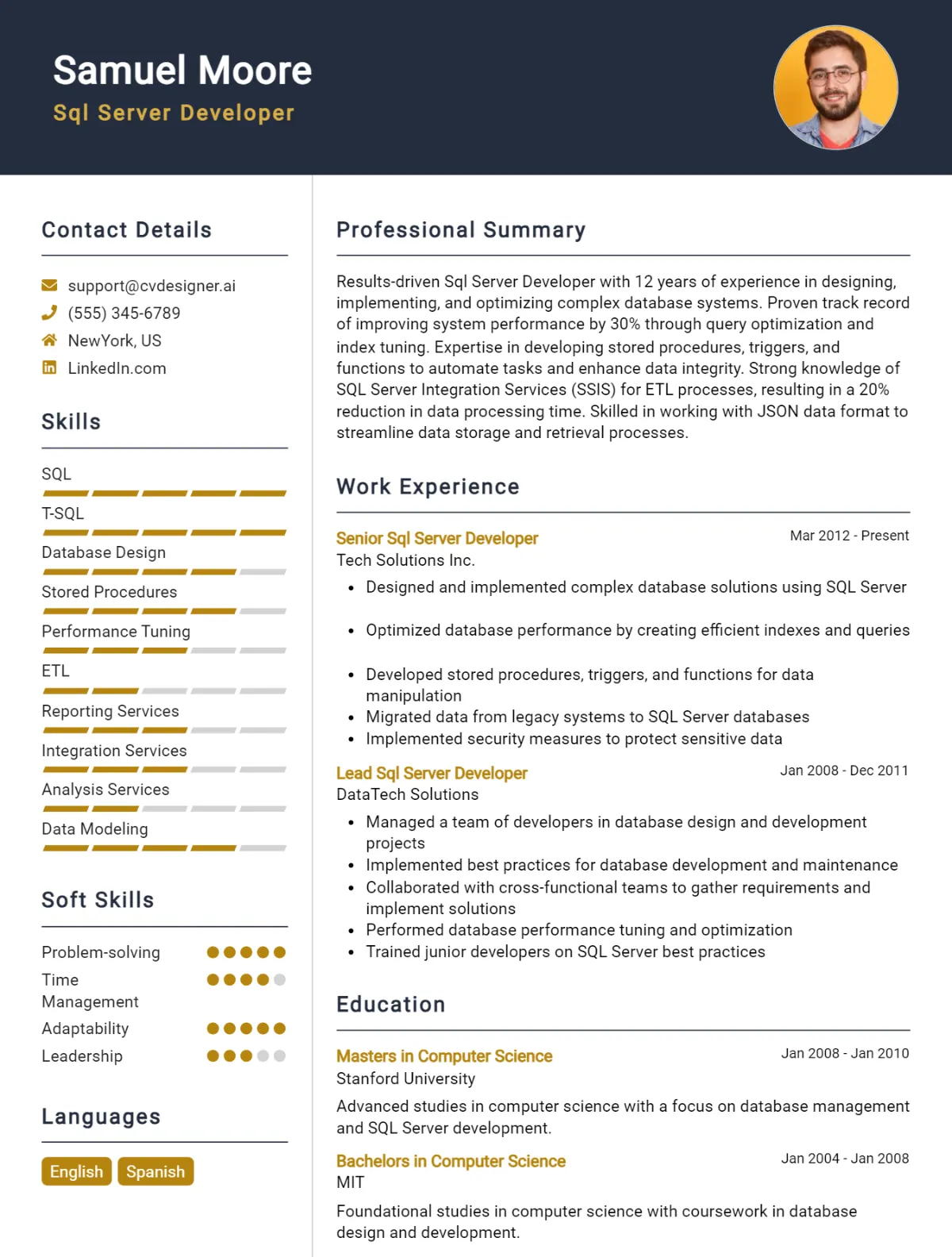 SQL Server Developer CV Example For 2024: Proven Tips & Templates ...