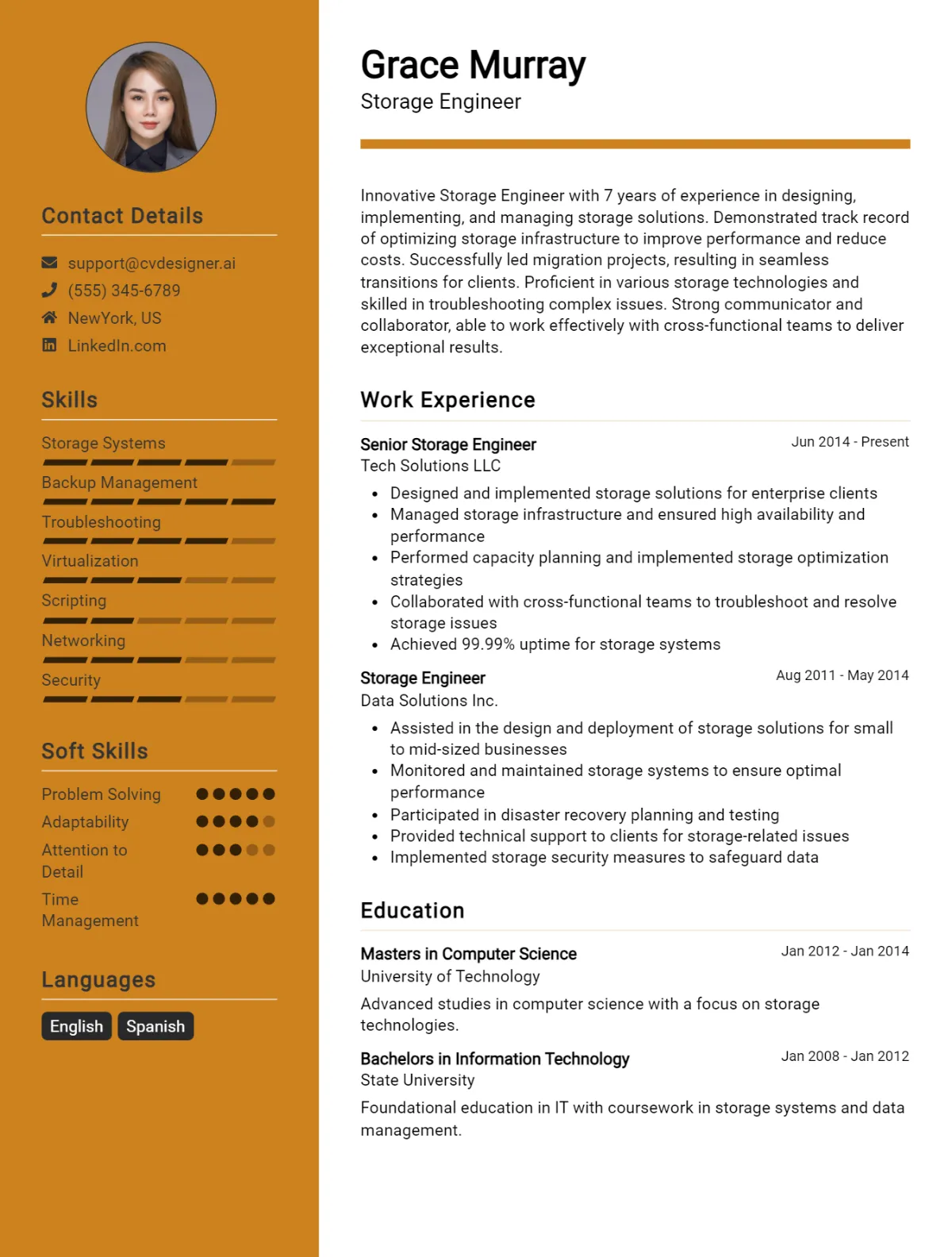 Storage Engineer CV Example