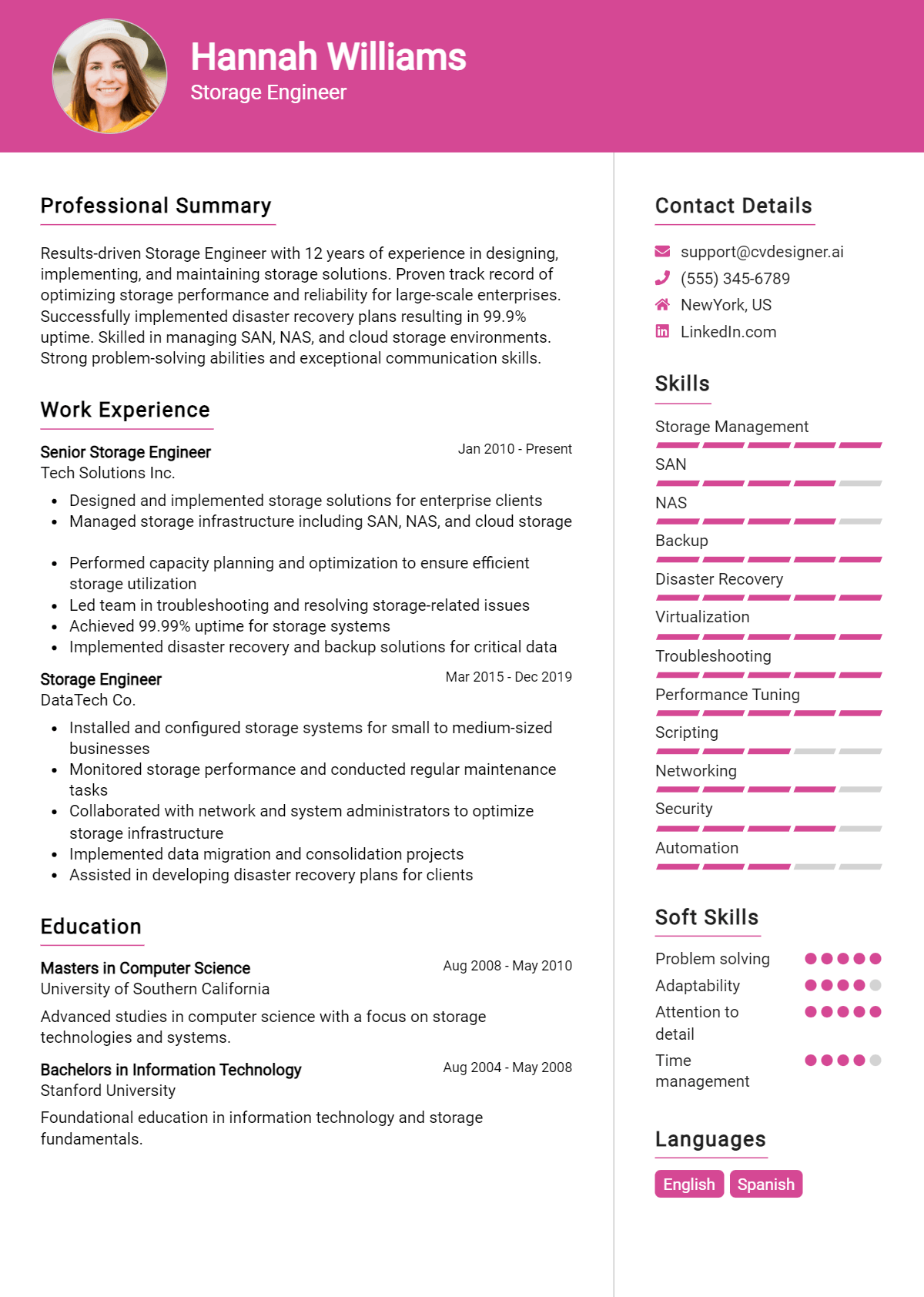 Storage Engineer Resume Example
