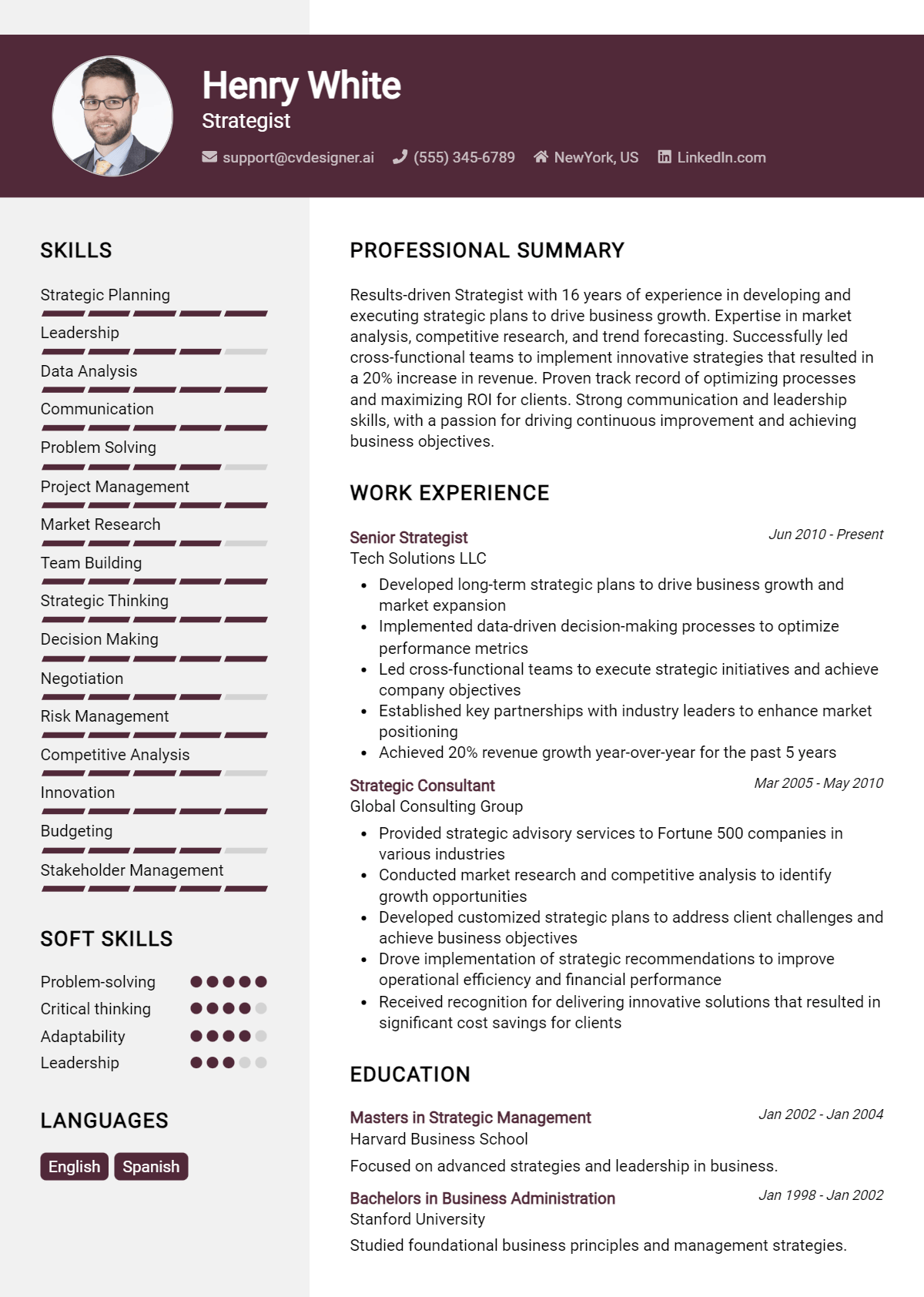 Strategist Resume Example