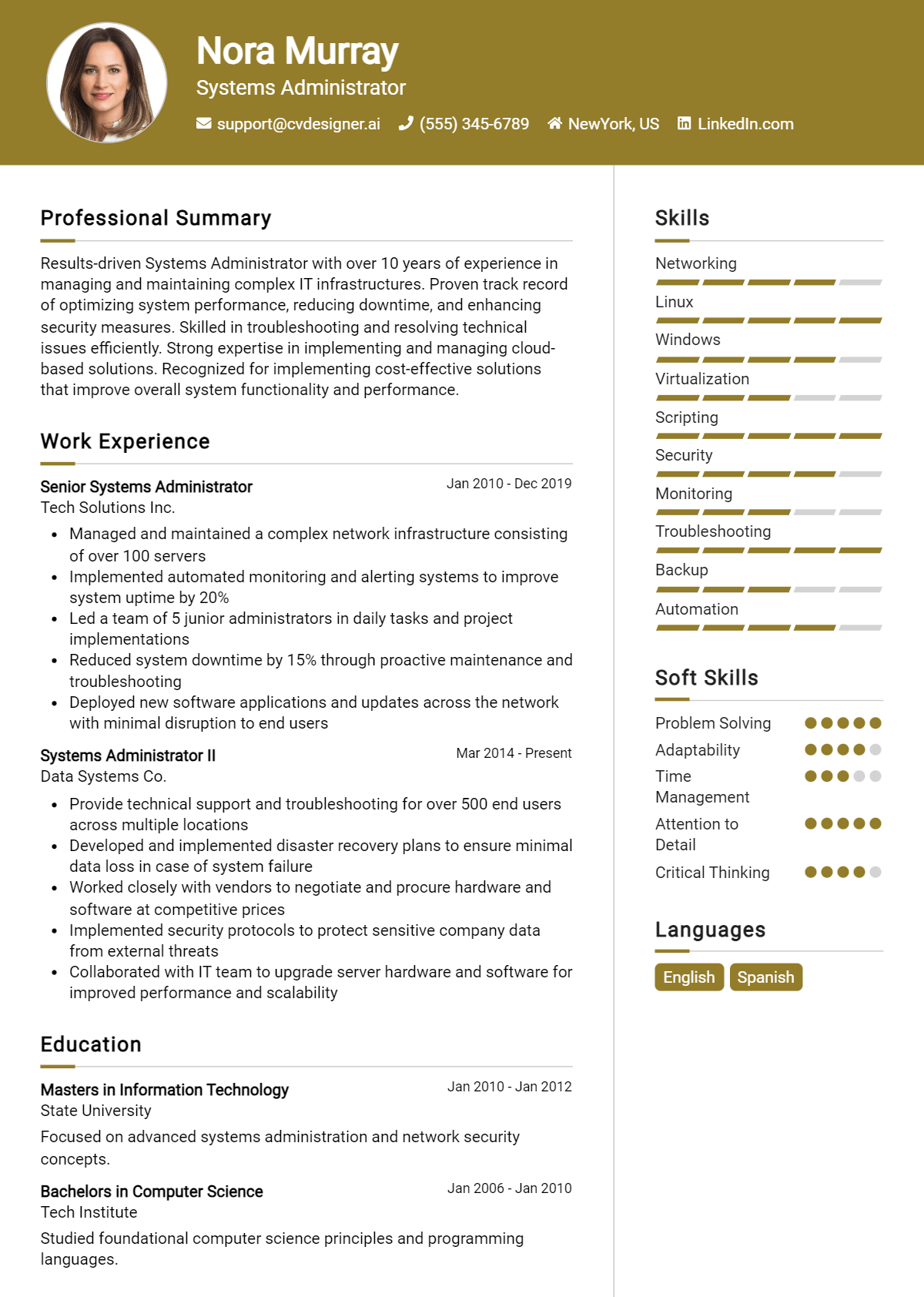 Systems Administrator Resume Example