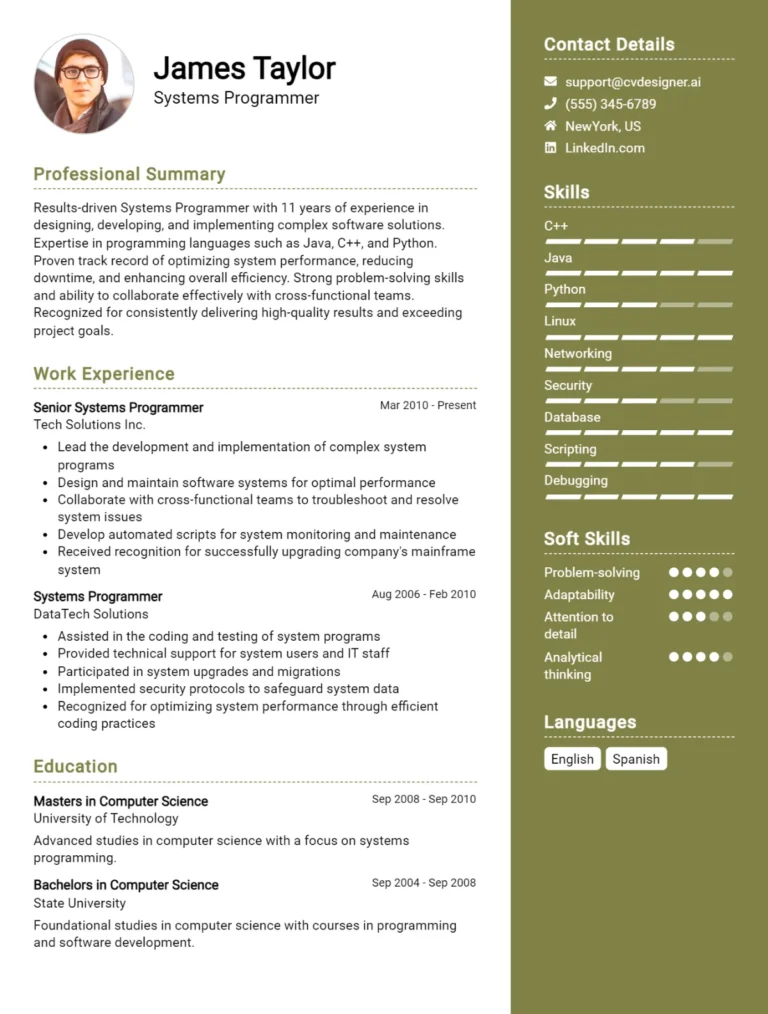 11 Systems Programmer CV Examples For 2025: Free Templates