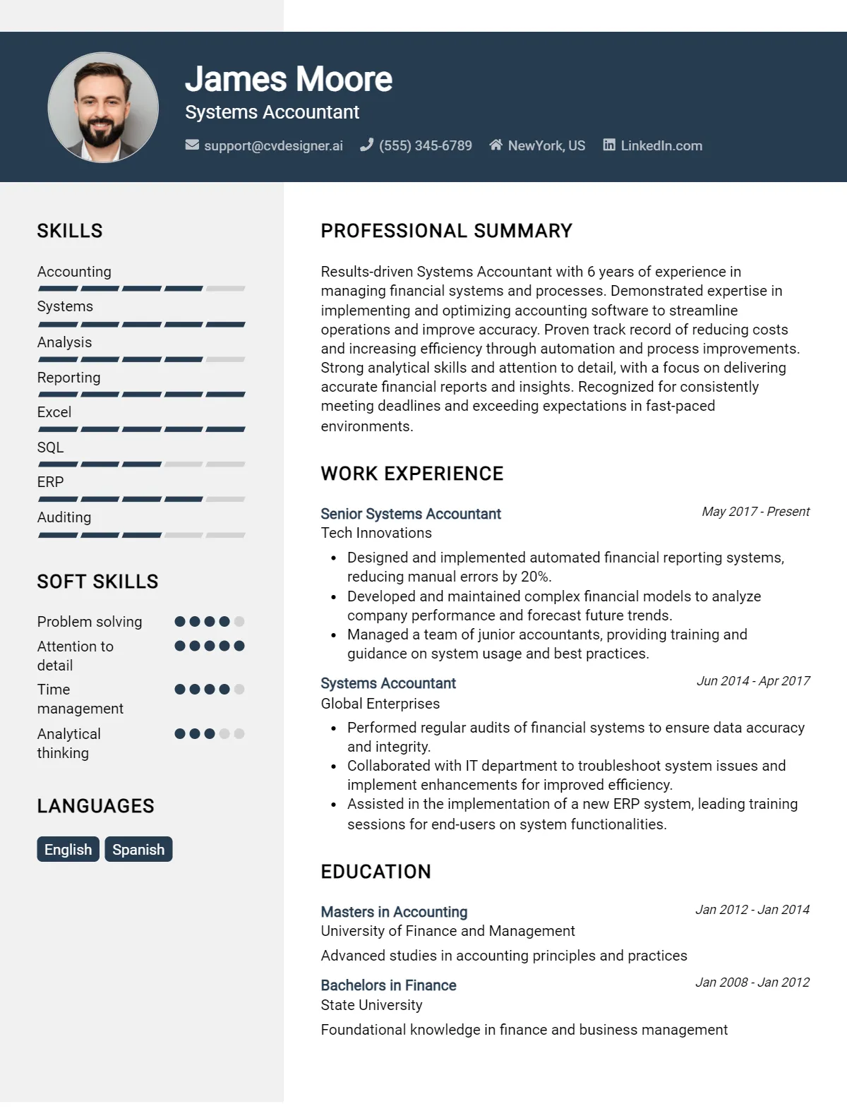 Systems Accountant CV Example