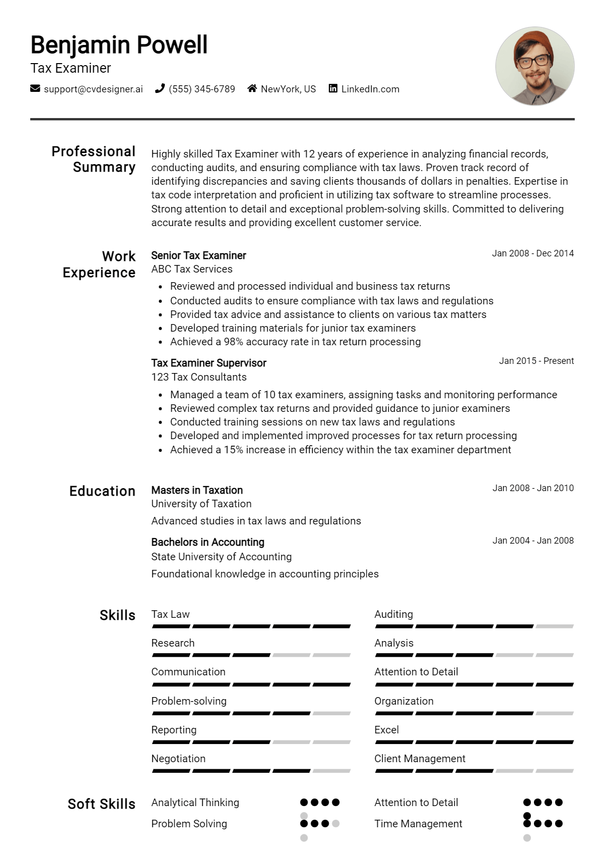 Tax Examiner Resume Example