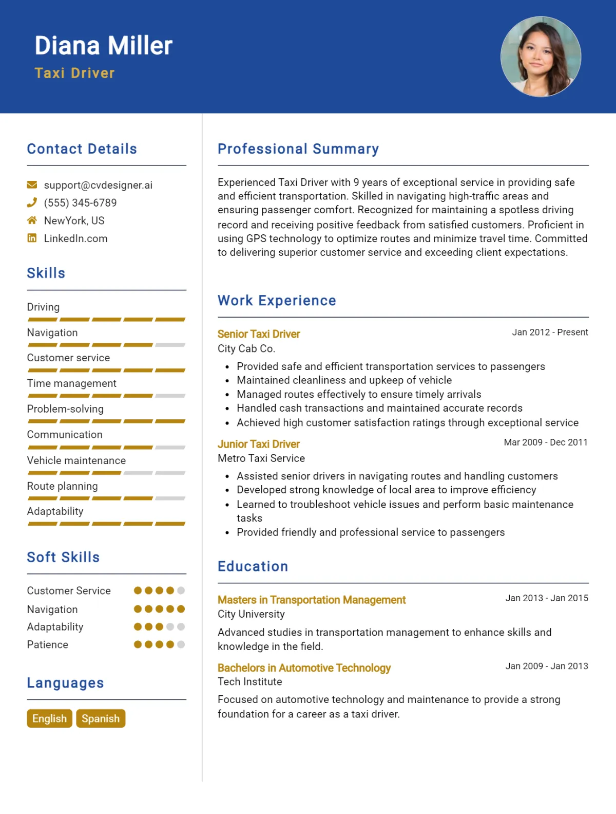 Taxi Driver CV Example