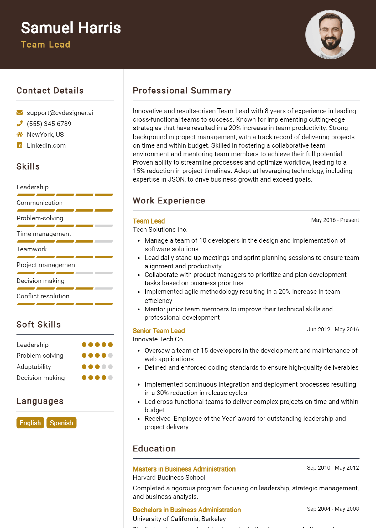 Team Lead Resume Example