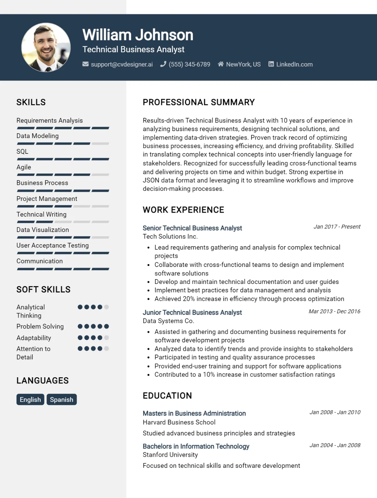 Technical Business Analyst CV Example