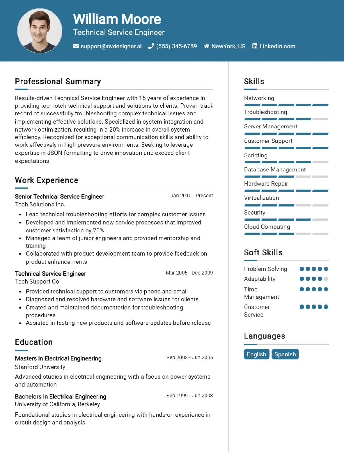 Technical Service Engineer CV Example