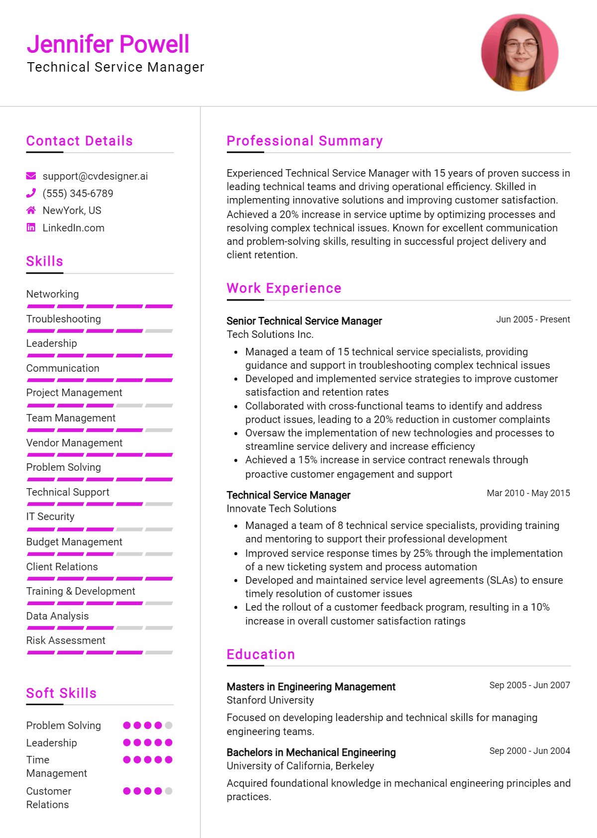 Technical Service Manager Resume Example