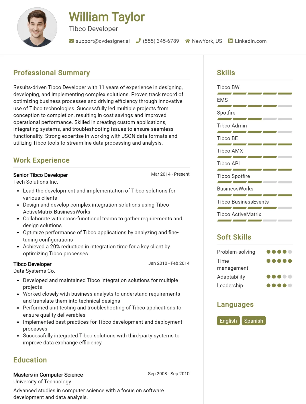 Tibco Developer CV Example