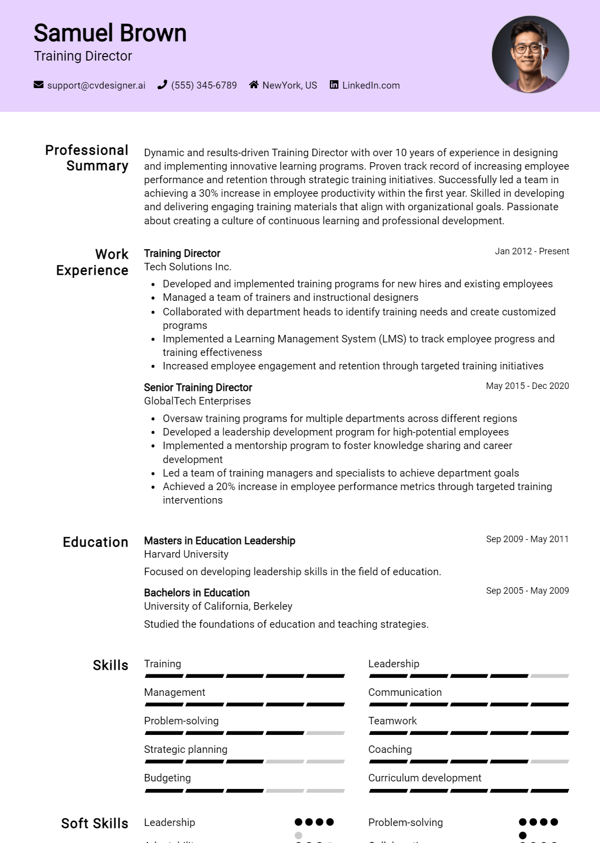 Training Director Resume Example
