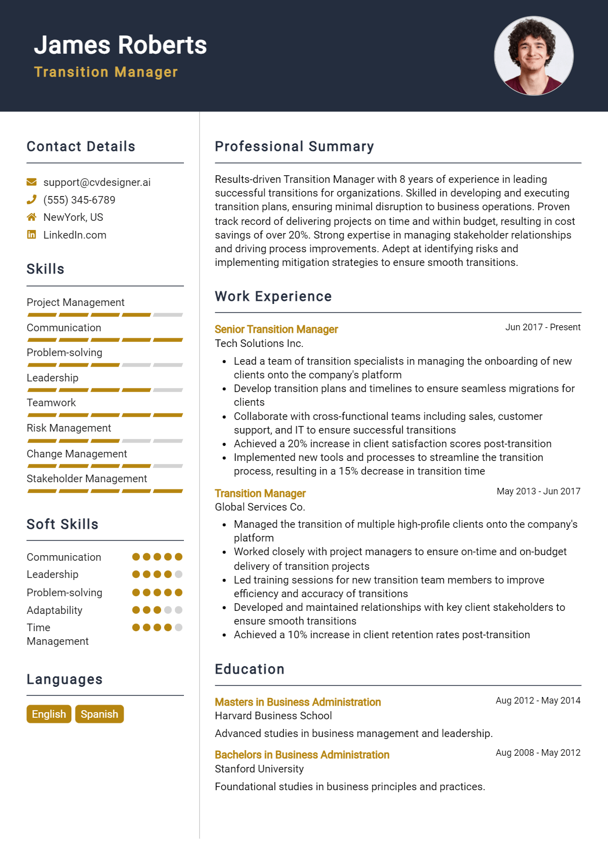 Transition Manager Resume Example