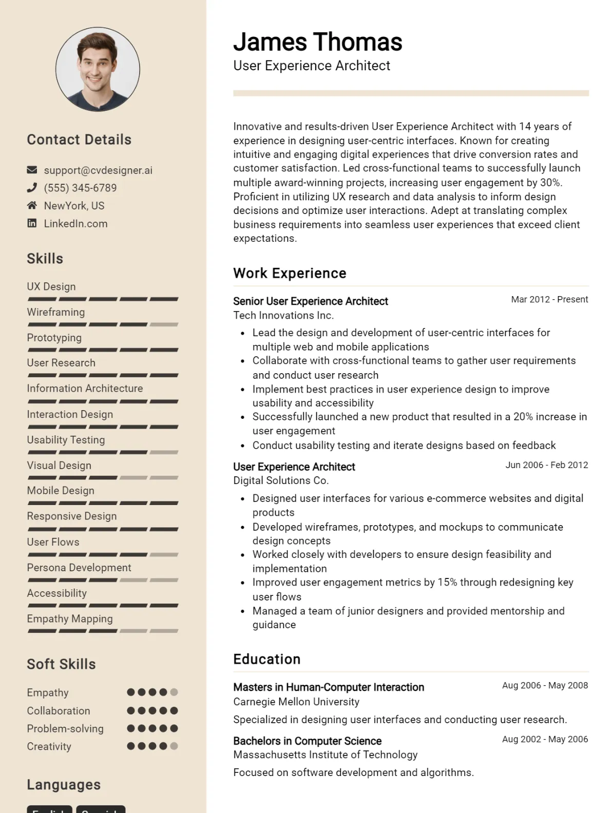User Experience Architect CV Example
