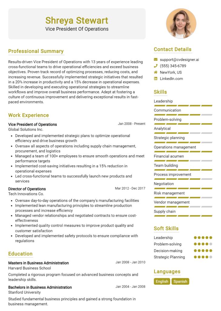 Vice President Of Operations Resume Example