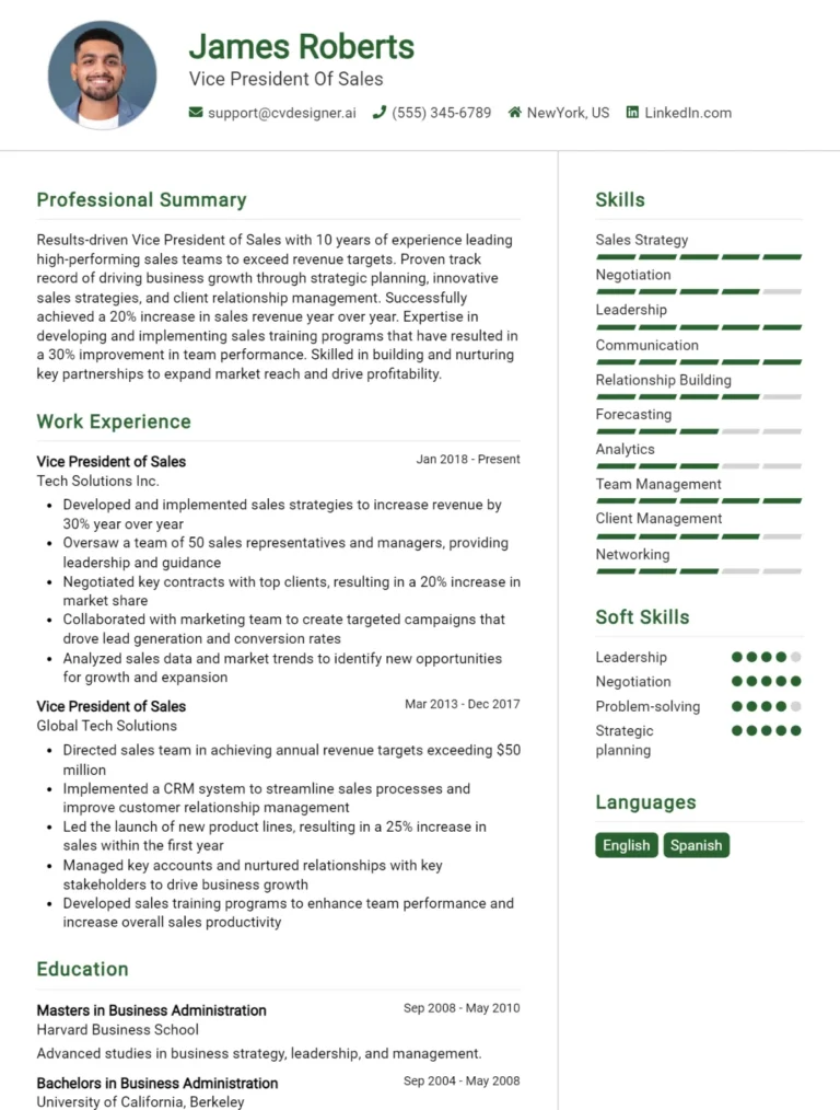 Vice President Of Sales CV Example For 2025: Professional CV Templates