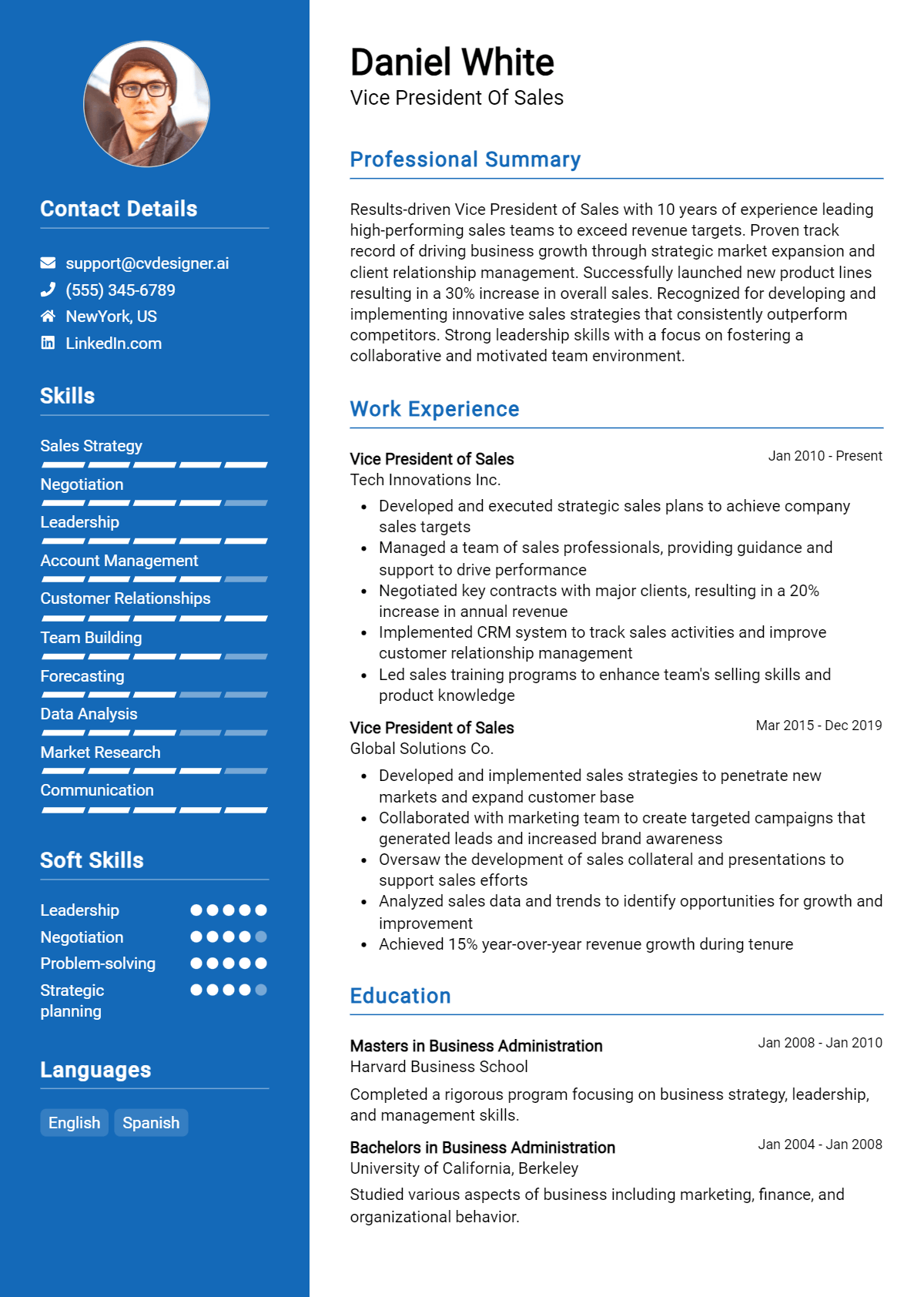 Vice President Of Sales Resume Example