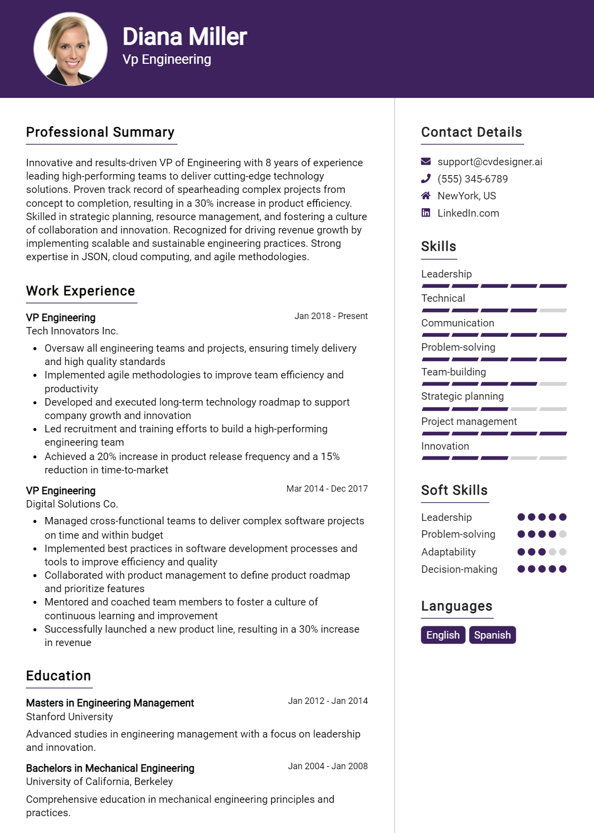 Vp Engineering Resume Example
