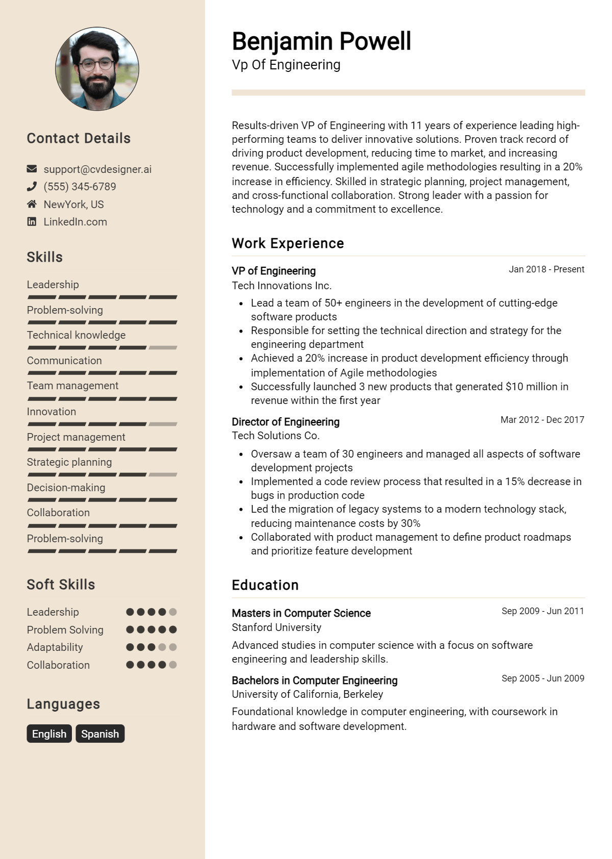 Vp Of Engineering Resume Example