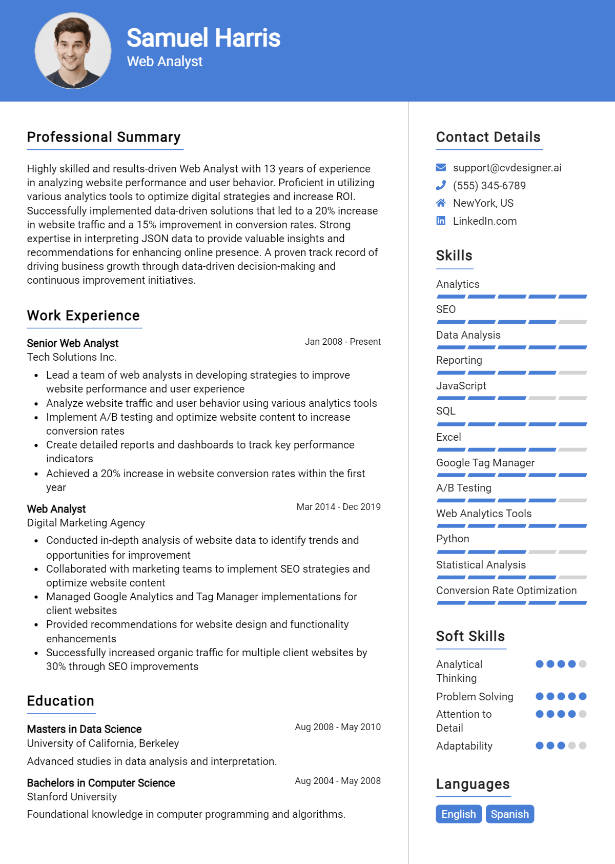 Web Analyst Resume Example