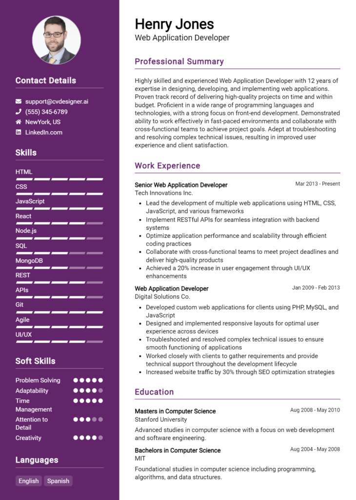 Web Application Developer Resume Example
