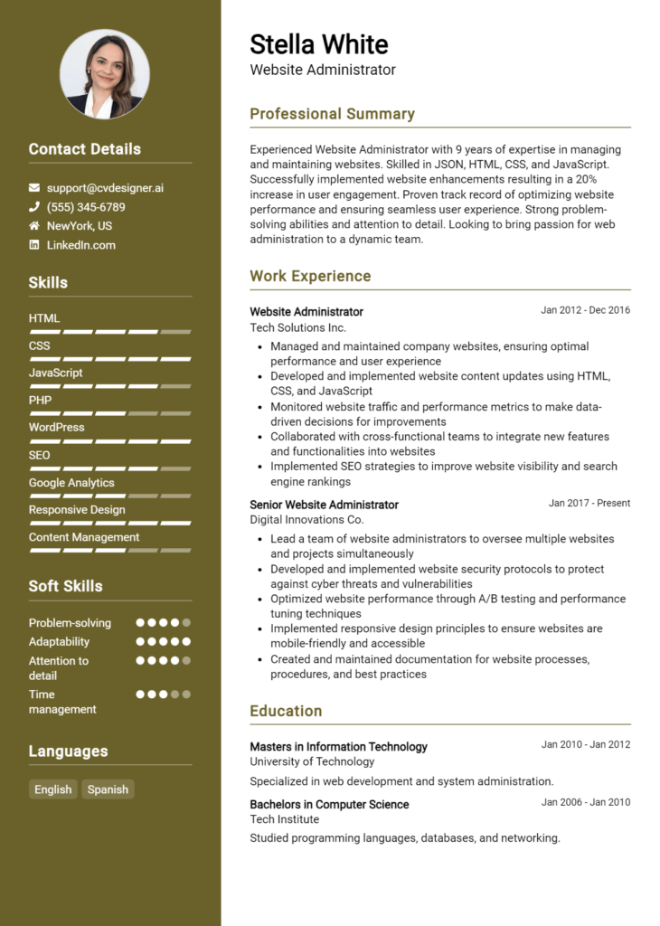 Website Administrator Resume Example